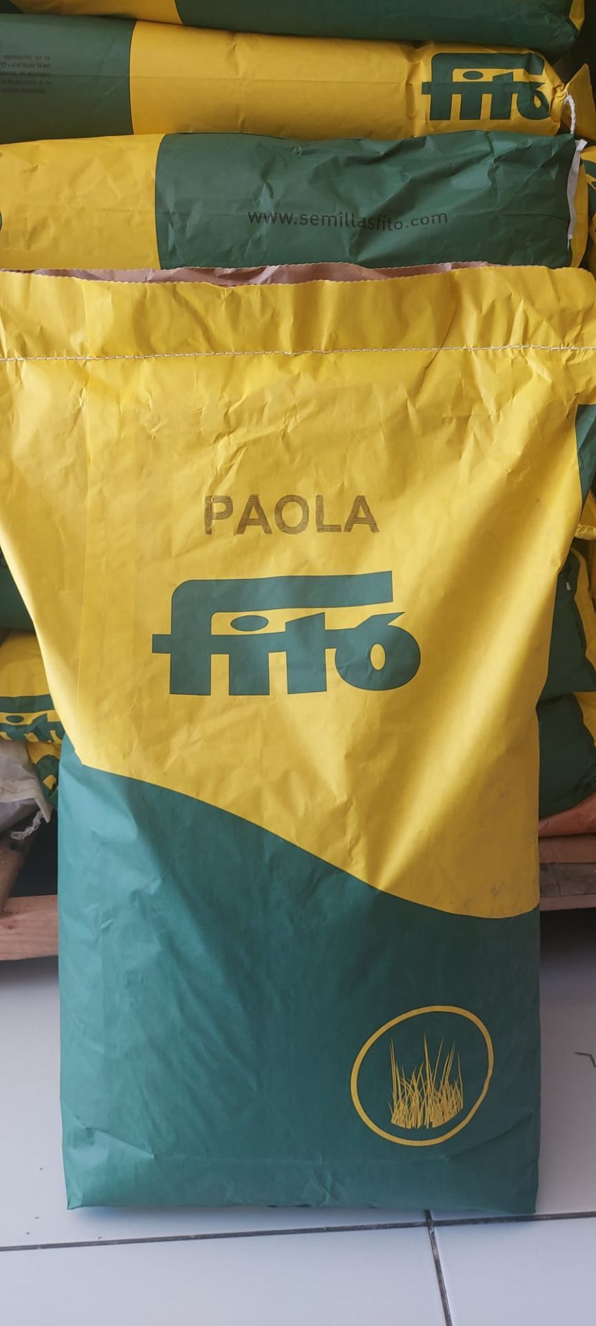 Fito Paola  İthal Yonca Tohumu Kapsız Çıplak Tohum
