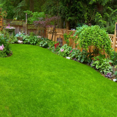 Çim Tohumu 6'lı Karışım Mix İthal