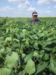 Arısoy Danelik Soya Tohumu 25 Kg