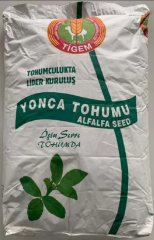 Bilensoy 80 Yonca Tohumu Sertifikalı - Kaplamasız