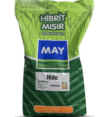 May Hido Silajlık Mısır Tohumu