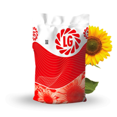 LG 50.585 Yağlık Ayçiçeği Tohumu ( Hibrit )