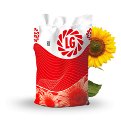 LG 50.455 CLP Yağlık Ayçiçeği Tohumu