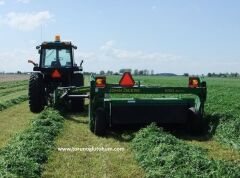 Çıplak (kapsız) İtalyan Yoncası Os 66