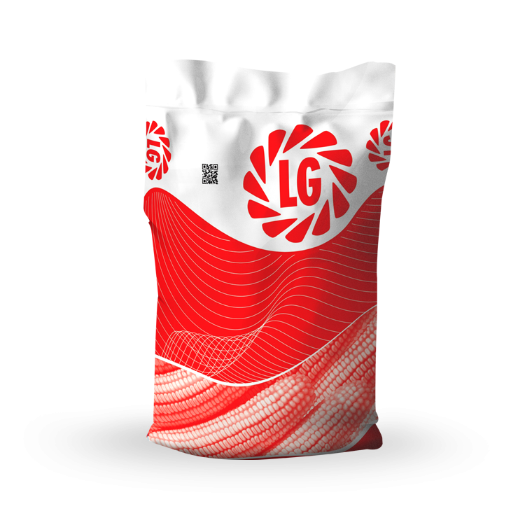 LG 30.692 Hibrit Mısır Tohumu