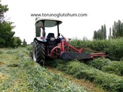 4'lü karışım Yem Bitkisi Tohumu