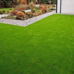 7 Li Karışım Çim Tohumu