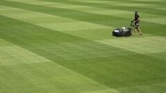 Festuca Rubra Commutata (Adi Kırmızı Yumak) Çim Tohumu