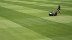 Festuca Rubra Commutata (Adi Kırmızı Yumak) Çim Tohumu